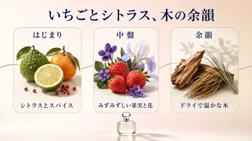 Fragariaのいちご・シトラス・スパイス・ウッディの香りの構成
