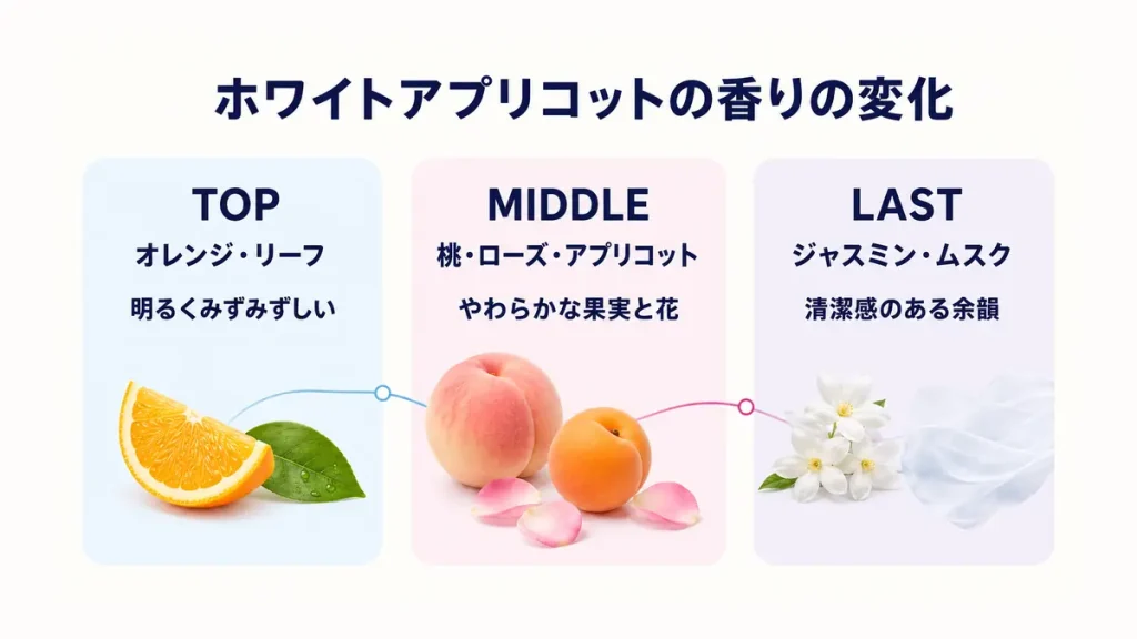 オレンジとリーフから桃とアプリコットを経てジャスミンとムスクへ変化する香り